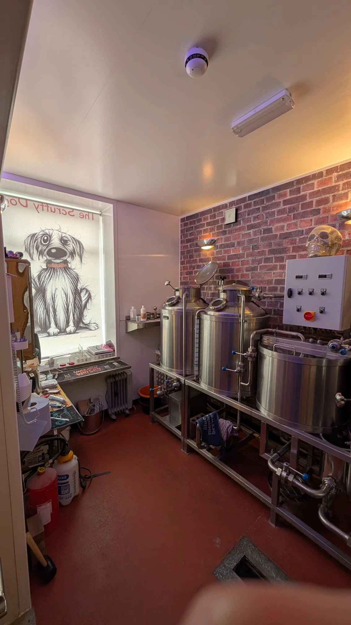 scruffy dog brewery 3